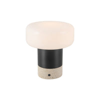 Alora Niko Table Lamp with black and stone base and opal glass shade