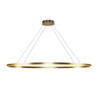 OVALE 53" LED LINEAR PENDANT - robinsonco.ca