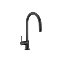 ODIN® PULL-DOWN FAUCET WITH ARC SPOUT - LESS HANDLE - robinsonco.ca