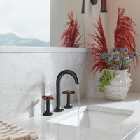 JASON WU WIDESPREAD LAVATORY HIGH CROSS HANDLES - robinsonco.ca