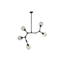 ORGANIC FIVE LIGHT CHANDELIER - robinsonco.ca