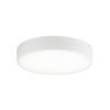 PLATO 11" CEILING FLUSH MOUNT - robinsonco.ca