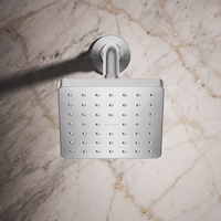 PARALLEL SINGLE-FUNCTION SHOWERHEAD - robinsonco.ca