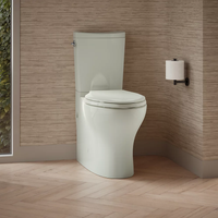 PERSUADE TWO-PIECE COMFORT HEIGHT ELONGATED TOILET BOWL ONLY - robinsonco.ca