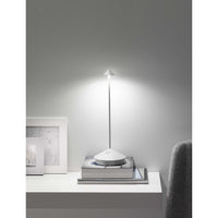 PINA PRO TABLE LAMP - robinsonco.ca