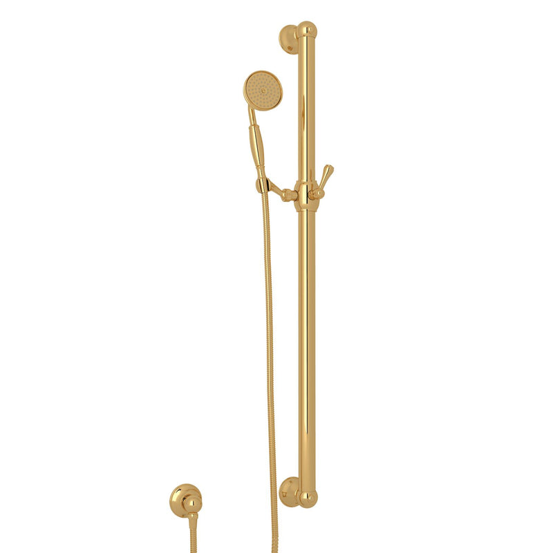 ROHL® HANDSHOWER SET WITH 39" GRAB BAR AND SINGLE-FUNCTION HANDSHOWER - robinsonco.ca