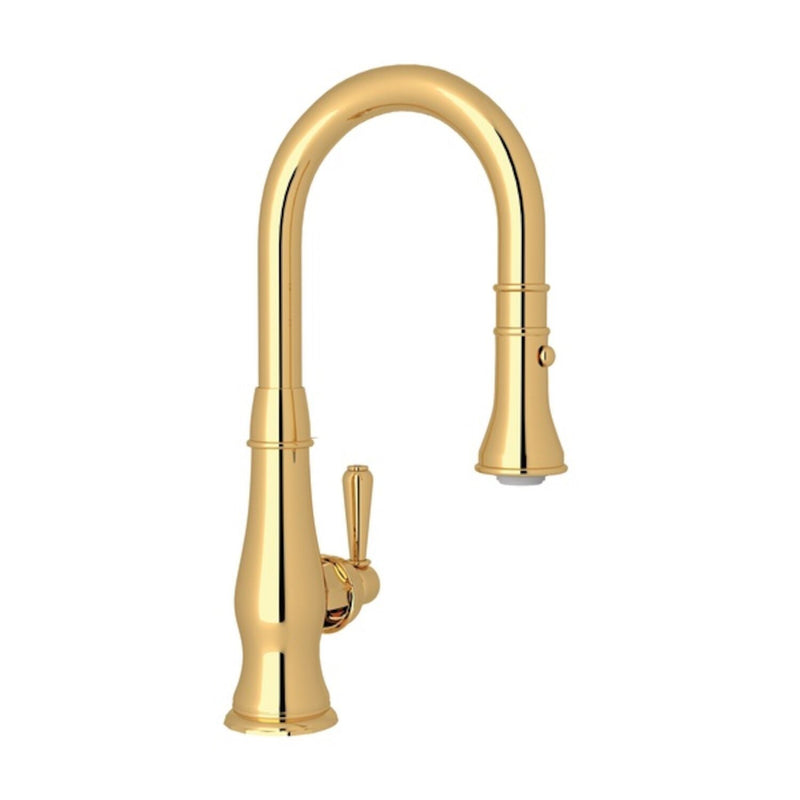 PATRIZIA PULL-DOWN BAR/FOOD PREP KITCHEN FAUCET (LEVER HANDLE) - robinsonco.ca