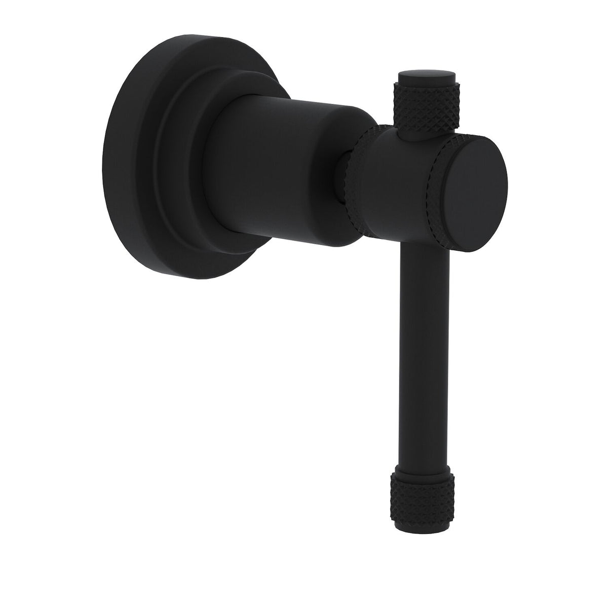 CAMPO TRIM FOR VOLUME CONTROL AND DIVERTER (INDUSTRIAL LEVER HANDLE) - robinsonco.ca