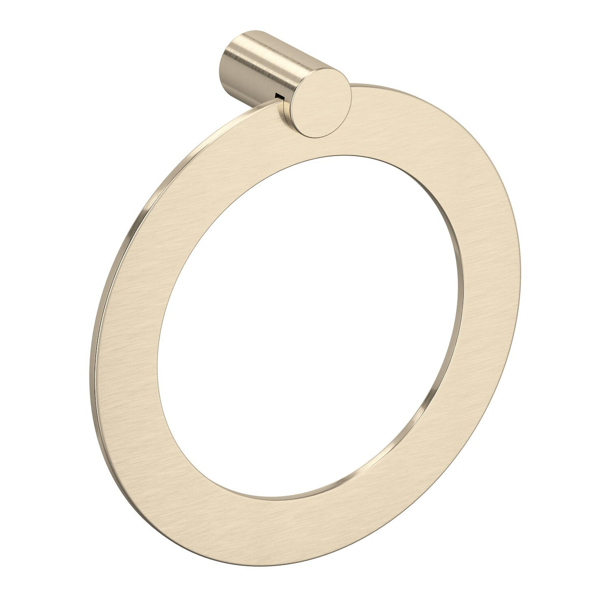 ECLISSI TOWEL HOLDER - robinsonco.ca