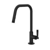 GRACELINE® PULL-DOWN KITCHEN FAUCET WITH U-SPOUT (LEVER HANDLE) - robinsonco.ca