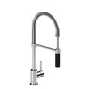 KITCHEN FAUCET WITH 2-JET HAND SPRAY - robinsonco.ca