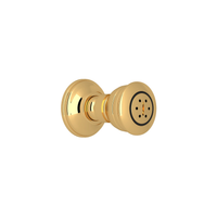 ROHL® 2-FUNCTION BODY SPRAY