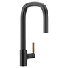 TENON ONE-HANDLE HIGH ARC PULLDOWN KITCHEN FAUCET - robinsonco.ca