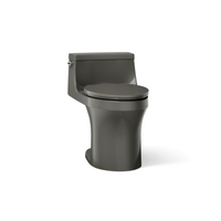 SAN SOUCI COMFORT HEIGHT ONE-PIECE COMPACT ELONGATED TOILET - robinsonco.ca
