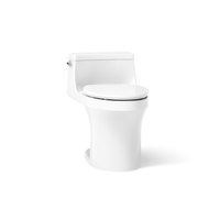 SAN SOUCI COMFORT HEIGHT ONE-PIECE COMPACT ELONGATED TOILET - robinsonco.ca
