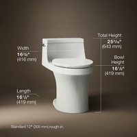 SAN SOUCI COMFORT HEIGHT ONE-PIECE COMPACT ELONGATED TOILET - robinsonco.ca