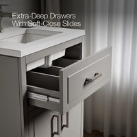 SEER 24-IN BATHROOM VANITY CABINET - robinsonco.ca