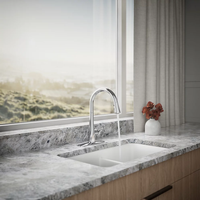 SIMPLICE SINGLE OR THREE-HOLE KITCHEN PULL DOWN SINK FAUCET - robinsonco.ca