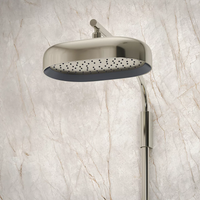 STATEMENT® OBLONG 14-INCH RAINHEAD - robinsonco.ca