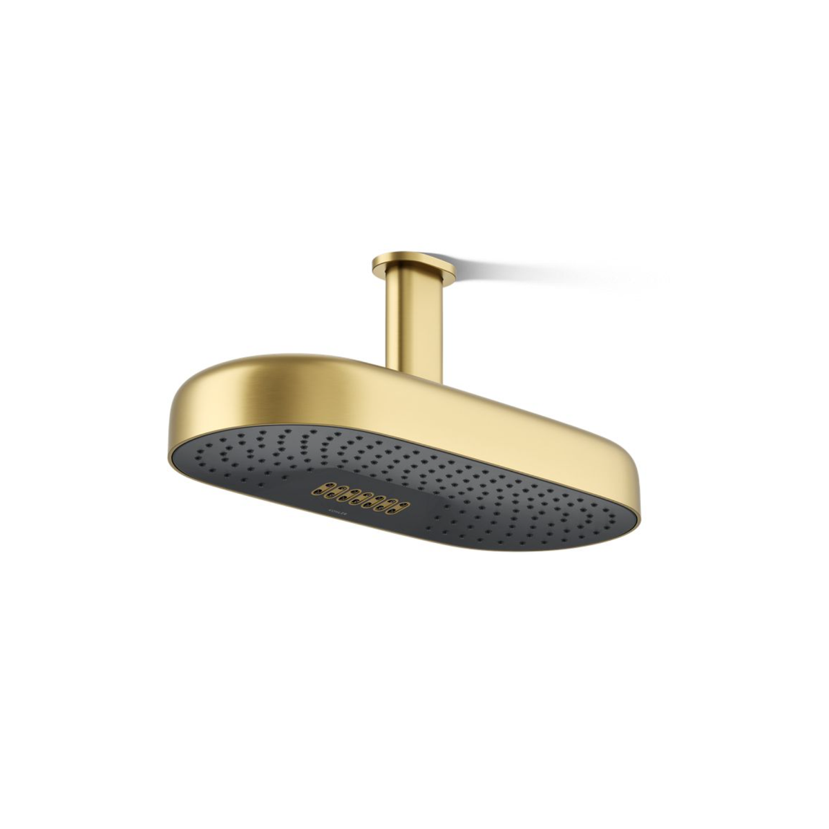 STATEMENT® OBLONG 18-INCH 2F RAINHEAD - robinsonco.ca