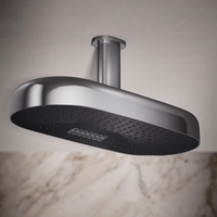 STATEMENT® OBLONG 18-INCH 2F RAINHEAD - robinsonco.ca