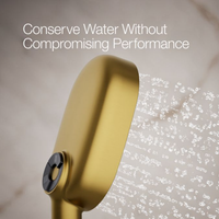 STATEMENT® OBLONG 2.5GPM THREE-FUNCTION HANDSHOWER - robinsonco.ca