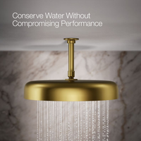 STATEMENT ROUND 14" SINGLE-FUNCTION RAINHEAD - robinsonco.ca