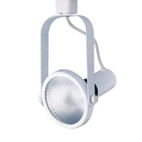 TRACK HEAD - PAR 38 GIMBALL RING, TL1601 - robinsonco.ca
