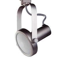 TRACK HEAD - PAR 30 GIMBALL RING, TL1602 - robinsonco.ca
