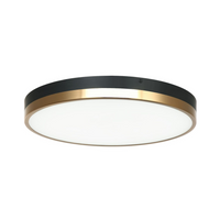 TONE 16" LED FLUSH MOUNT - robinsonco.ca