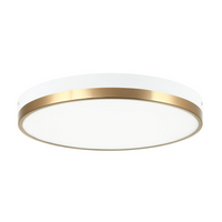 TONE 16" LED FLUSH MOUNT - robinsonco.ca