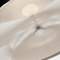 Close-up of a Pose Pendant light