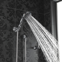 BALIZA TRADITIONAL HAND SHOWER WITH ELBOW - robinsonco.ca