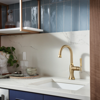 TULHAM® BAR FAUCET - robinsonco.ca
