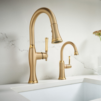 TULHAM® INSTANT HOT FAUCET - 1L - robinsonco.ca