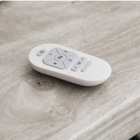 IKON HUGGER LED CEILING FAN (MULTIPLE SIZES) - robinsonco.ca
