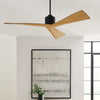 ADLER CEILING FAN (MULTIPLE SIZES) - robinsonco.ca