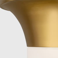 SINA FLUSH MOUNT - robinsonco.ca