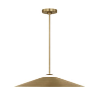 ASTRA PENDANT - robinsonco.ca
