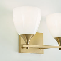 TOFFINO VANITY LIGHT (MULTIPLE SIZES) - robinsonco.ca