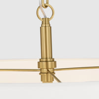 DANICA HANGING SHADE - robinsonco.ca