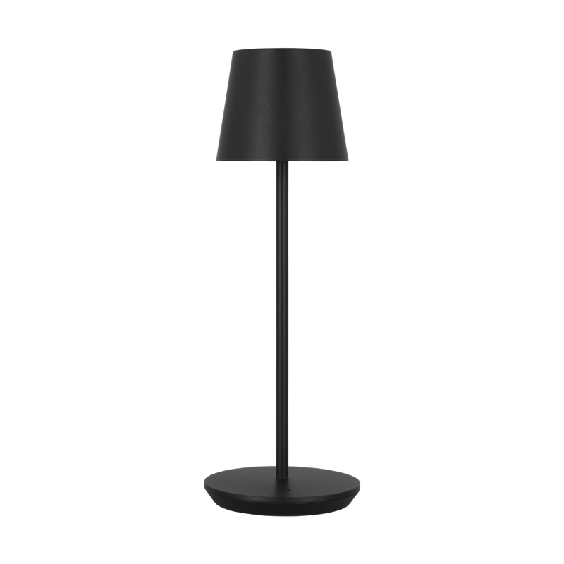 NEVIS ACCENT RECHARGEABLE TABLE LAMP - robinsonco.ca