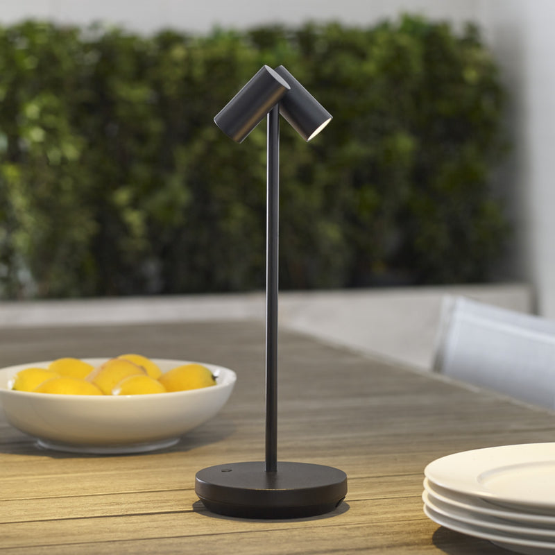 DOPPIA ACCENT RECHARGEABLE TABLE LAMP - robinsonco.ca