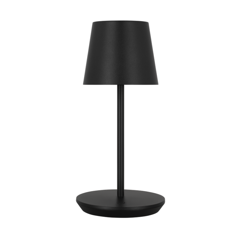 NEVIS ACCENT RECHARGEABLE TABLE LAMP - robinsonco.ca