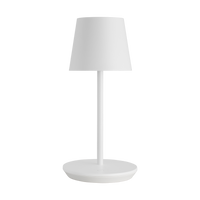 NEVIS ACCENT RECHARGEABLE TABLE LAMP - robinsonco.ca