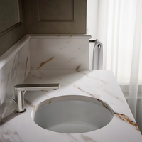 VERTICYL® ROUND UNDERMOUNT BATHROOM SINK - robinsonco.ca