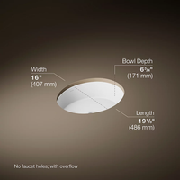 VERTICYL® OVAL UNDERMOUNT BATHROOM SINK - robinsonco.ca