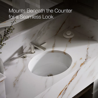 VERTICYL® OVAL UNDERMOUNT BATHROOM SINK - robinsonco.ca