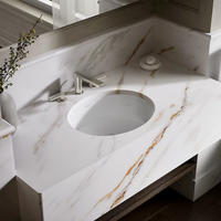 VERTICYL® OVAL UNDERMOUNT BATHROOM SINK - robinsonco.ca
