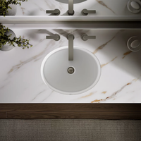 VERTICYL® OVAL UNDERMOUNT BATHROOM SINK - robinsonco.ca
